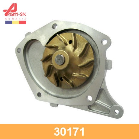 ASAM 30171 - насос водяной