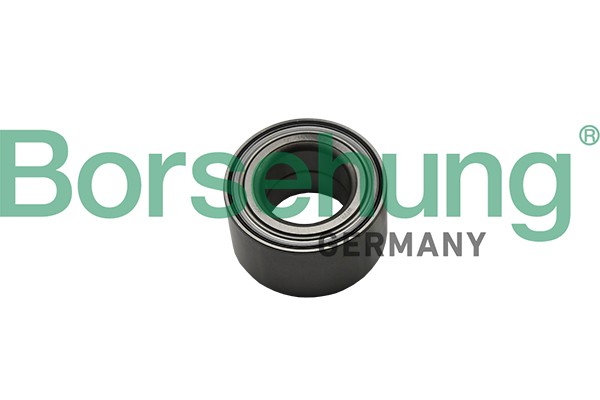 BORSEHUNG Подшипник ступицы B15622