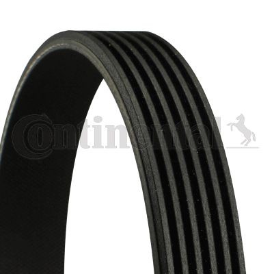 CONTITECH Ремень поликлиновой 6PK1019ELAST