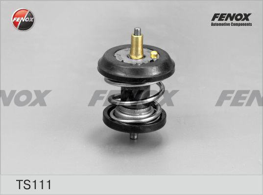 FENOX Термостат TS111